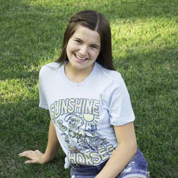 Lulu Mac 96-Sunshine Horse SS-Heather Ice Blue Discount - Image 2